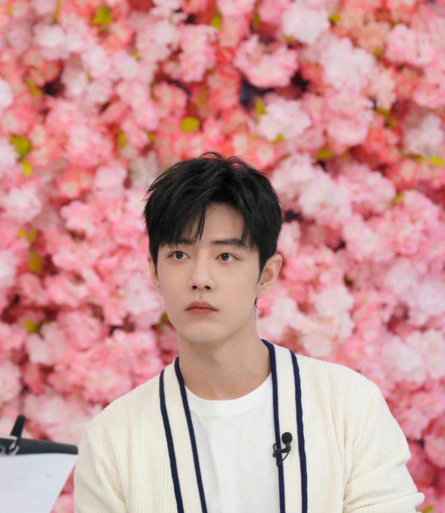 肖战最新小料揭秘,星光璀璨与时代影响力