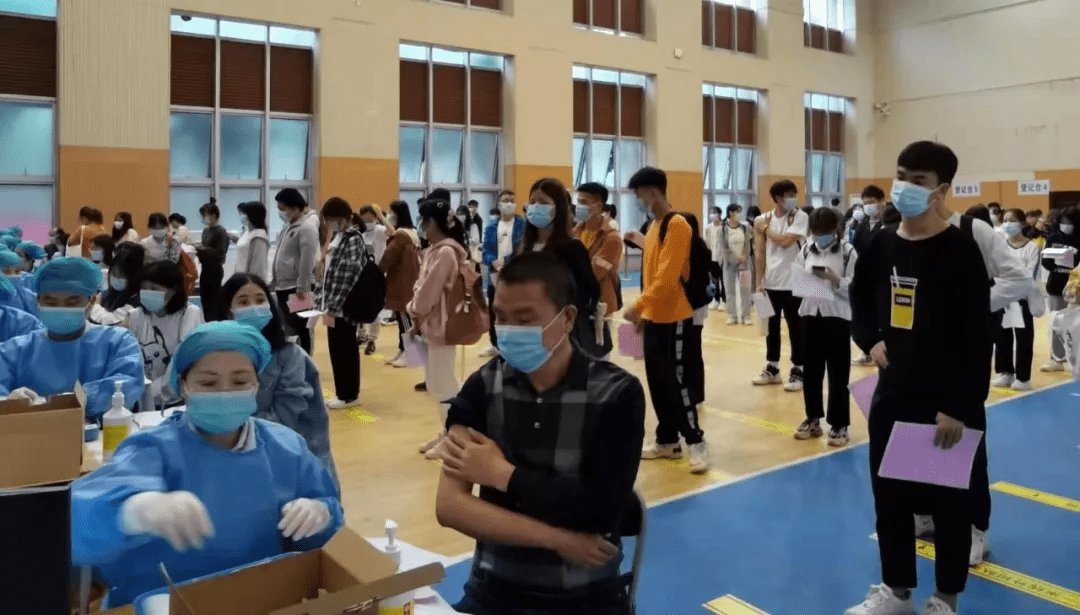 卡农最新动态与消息更新🎶🎻