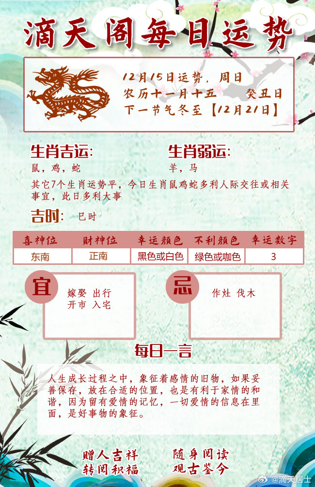 最新生肖周运深度解析与观点阐述