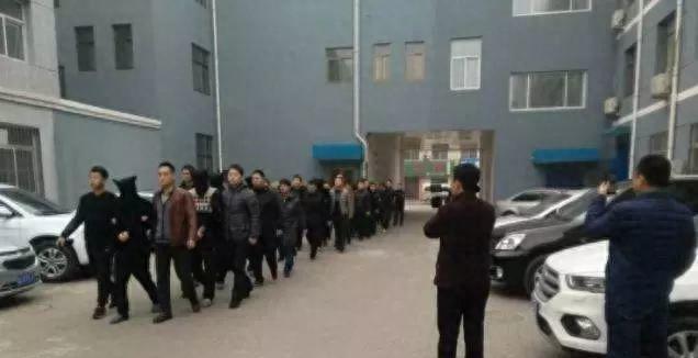 河北犯罪团伙最新动态及科技产品揭秘