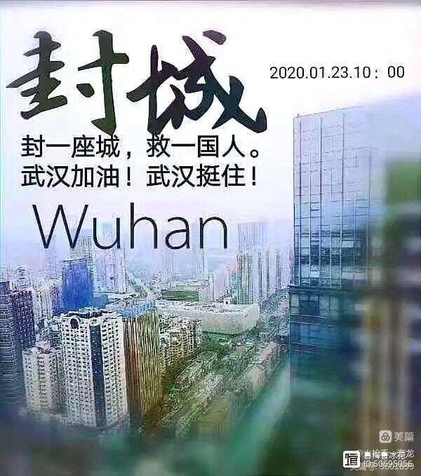 最新疫情封城状况揭秘,科技揭示答案!