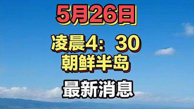 小巷中的独特风味宝藏店,最新揭秘消息