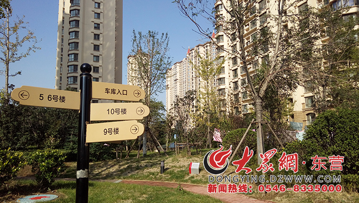 广饶中南世纪城最新动态揭秘，巷弄特色小店独特魅力探索