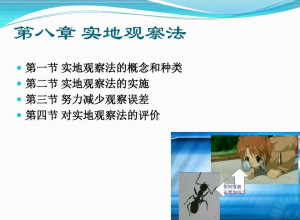 天天开好彩大全正版,实地观察解释定义_WNA50.610妹妹版