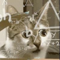 爱奇艺会员号共享掀起数字时代的共享娱乐新浪潮