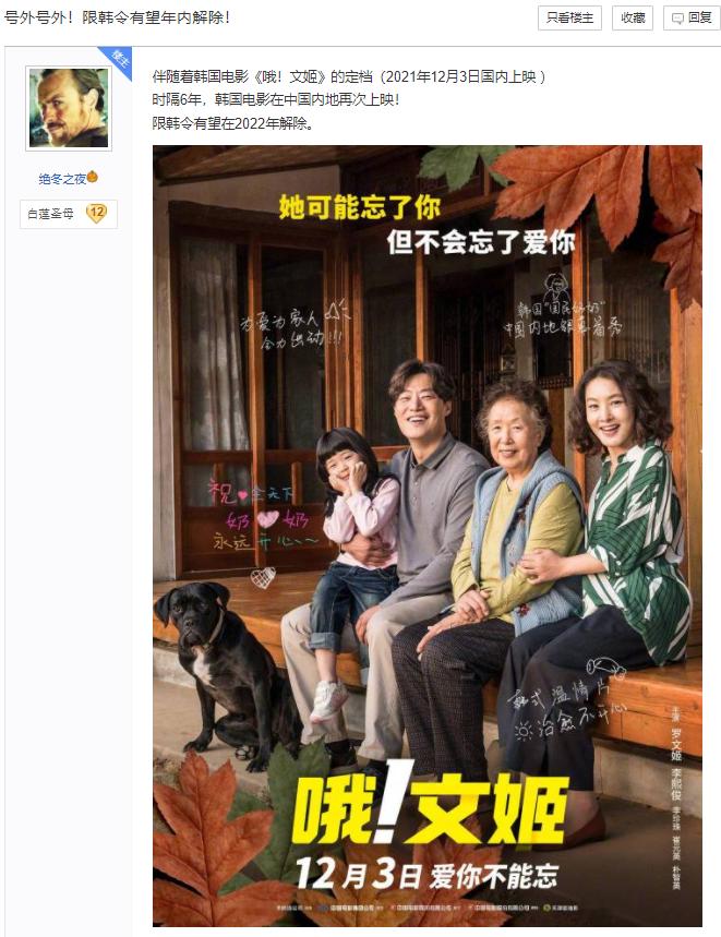 限韩令最新动态，解除消息及观点论述