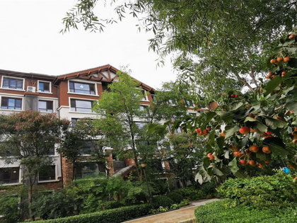 由山由谷探索新篇章，自然技能进阶任务揭秘