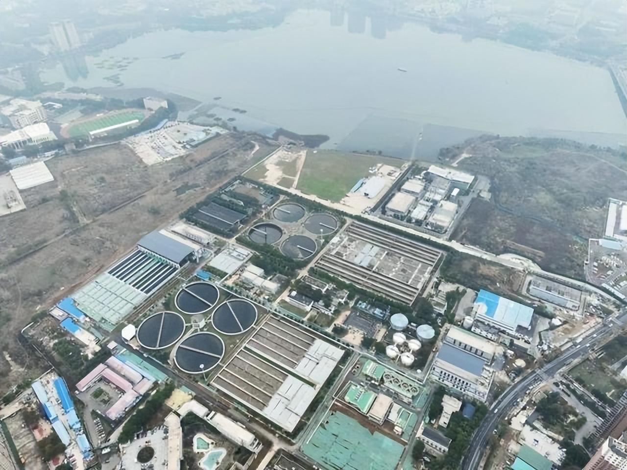 牙齿再生技术最新进展重塑未来口腔健康，高科技奇迹的展望（2024年）