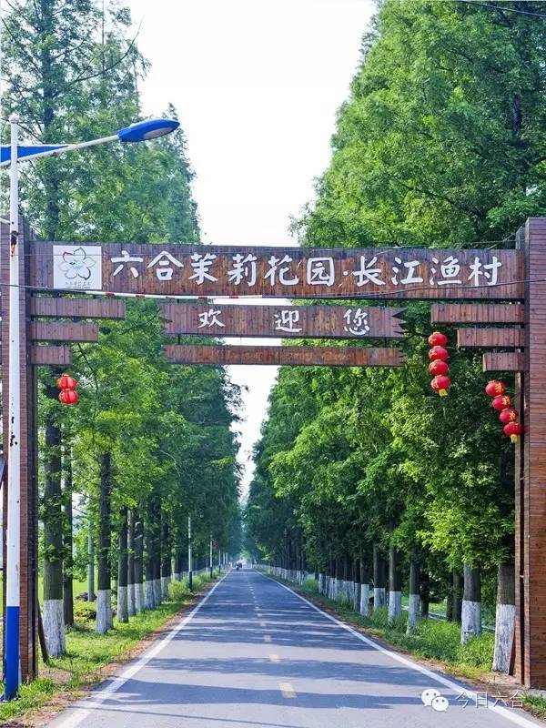 龙袍通航小镇最新动态，塑造未来航空枢纽，揭秘未来通航发展之路