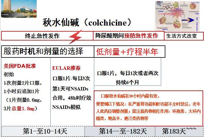 秋水仙碱最新最佳服用方法详解