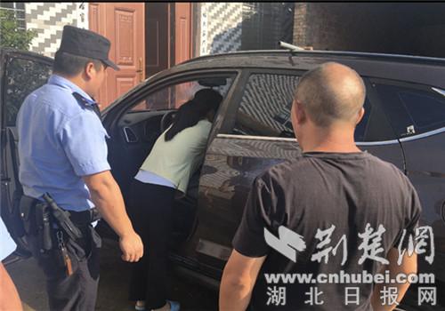 襄阳伙牌最新动态，欢乐日常揭秘