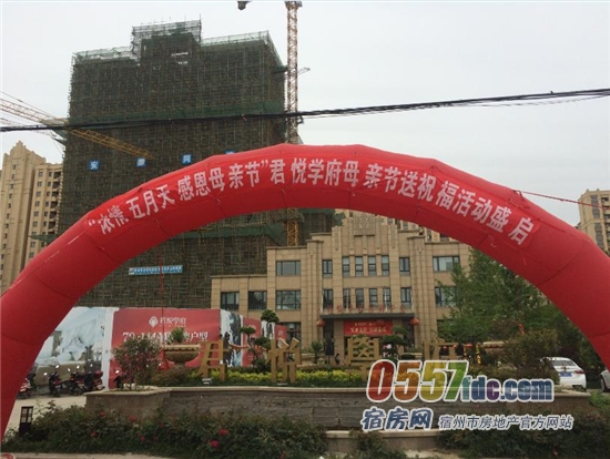 宿州君悦学府最新房价,时代印记与市场的脉动