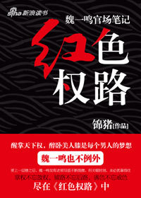 官路沉沦,一路向前,成就梦想之路的最新章节列表