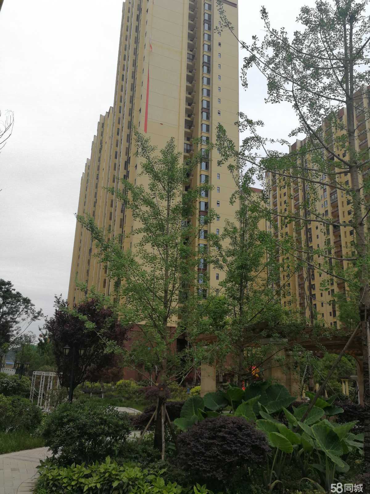 阆中天合丽景最新动态与温馨日常介绍