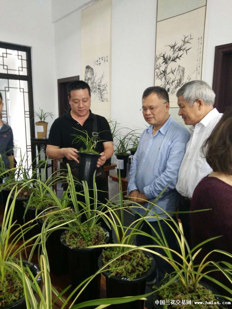 兰花集团领导最新动向,引领科技重塑未来生活体验,引领科技潮流打造卓越体验