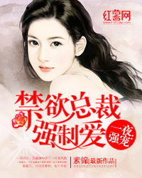 傅亦臣苏蜜最新小说，魅力与争议背后的故事