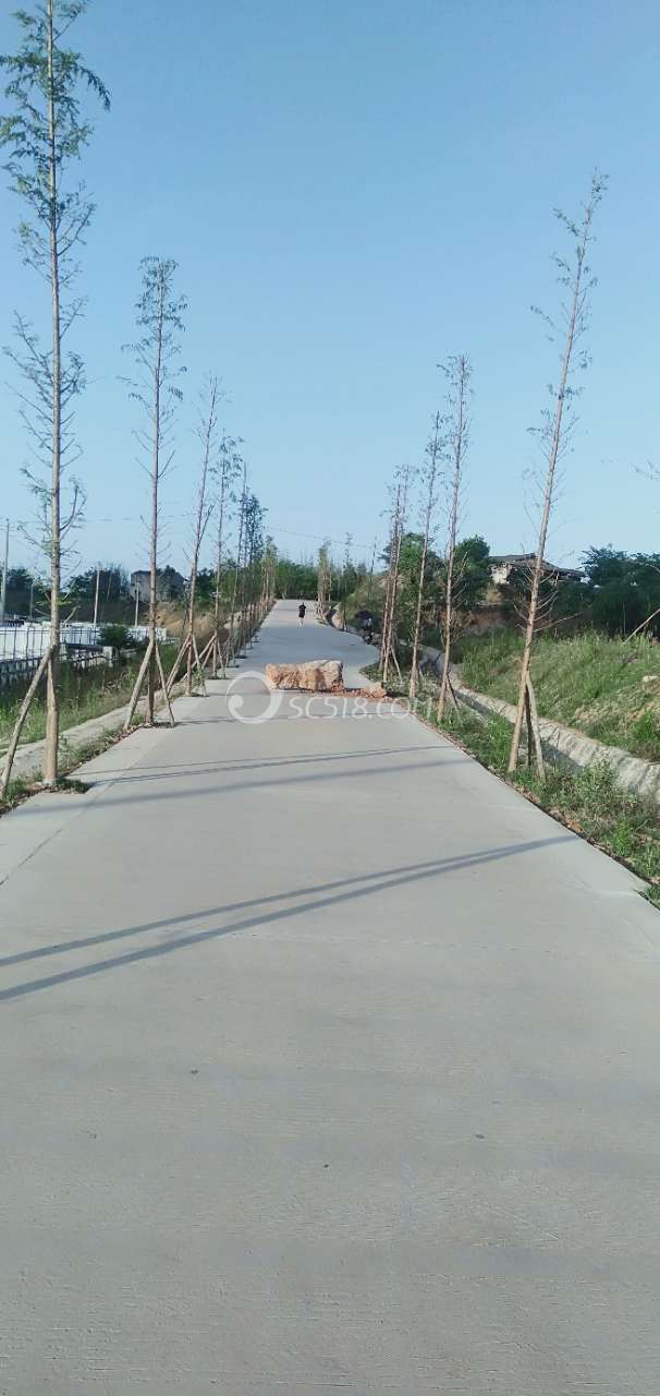 工程和技术研究 第655页