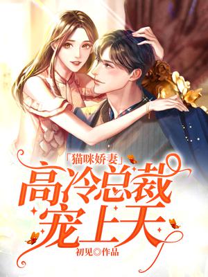 娇妻高高在上，文化现象的深度解析最新章节