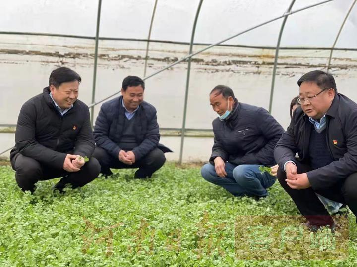 通许县城最新招聘信息，变化、学习与自信的力量驱动人才招聘进展