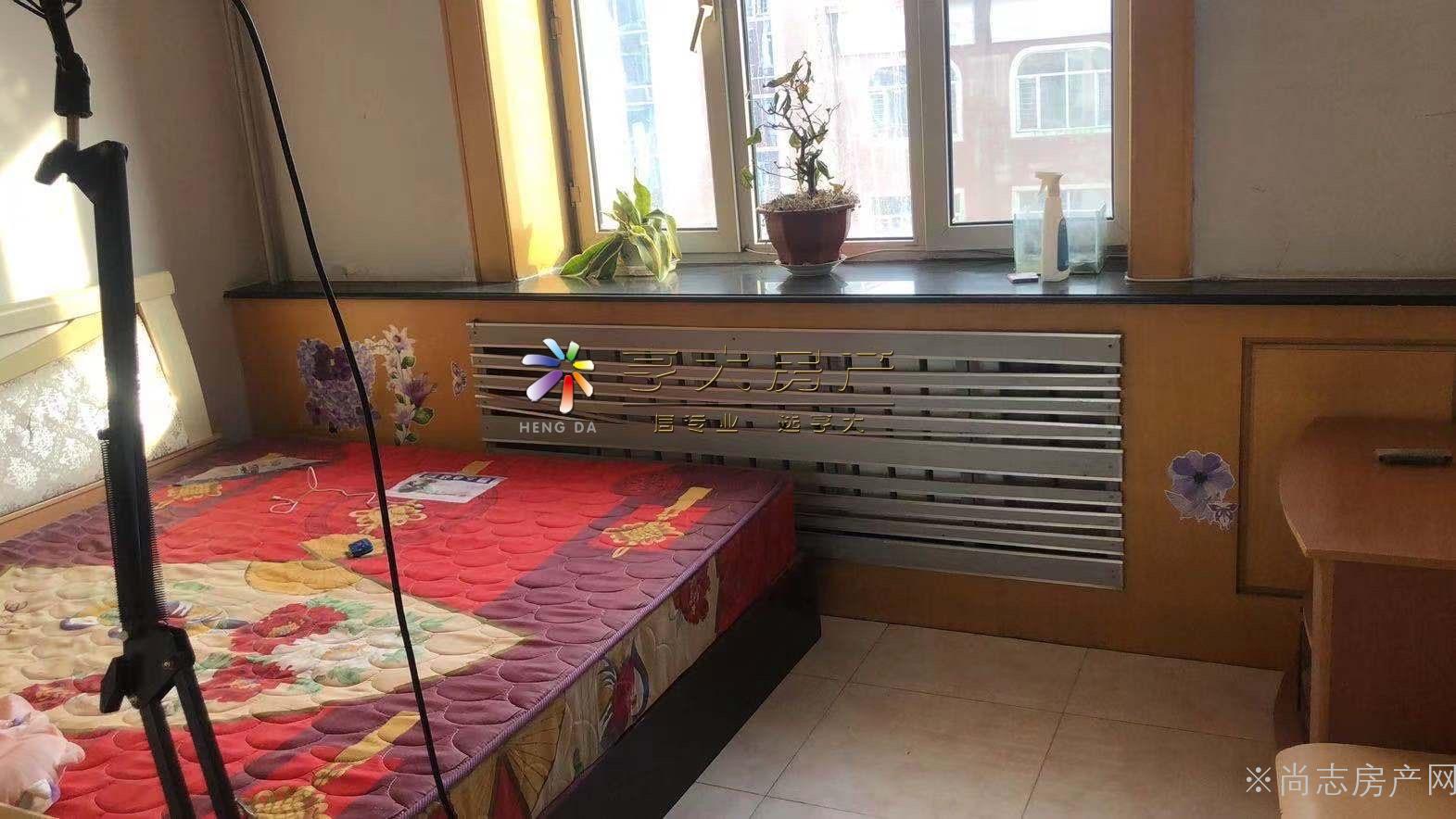 昂昂溪租房最新动态，小巷深处的特色小店探秘