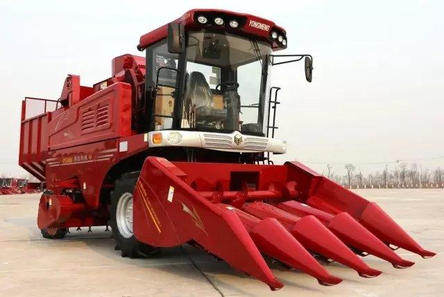 2016年最新审定玉米种，选择与种植指南