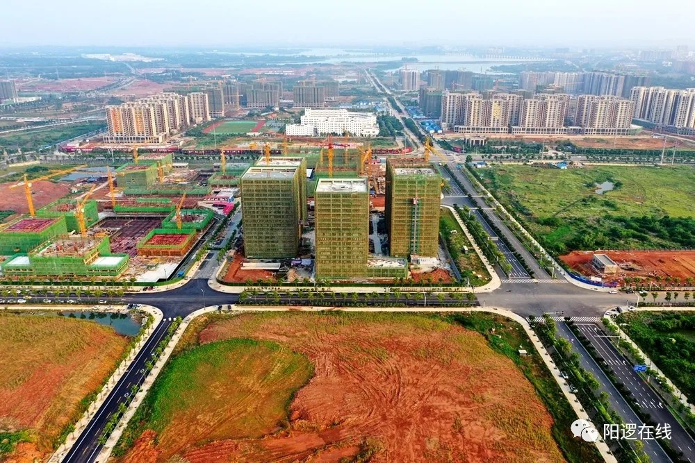 武汉阳逻新动态,城市变迁中的成长与发展
