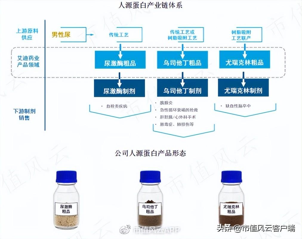 尿激酶粗品最新价格艾迪，友情与陪伴的温馨篇章