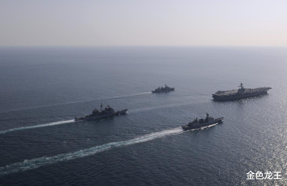 东海军事最新动态与小巷神秘小店探秘揭秘