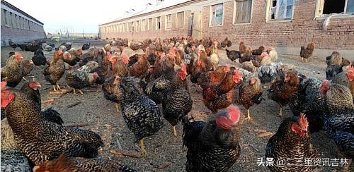 技术转让 第649页