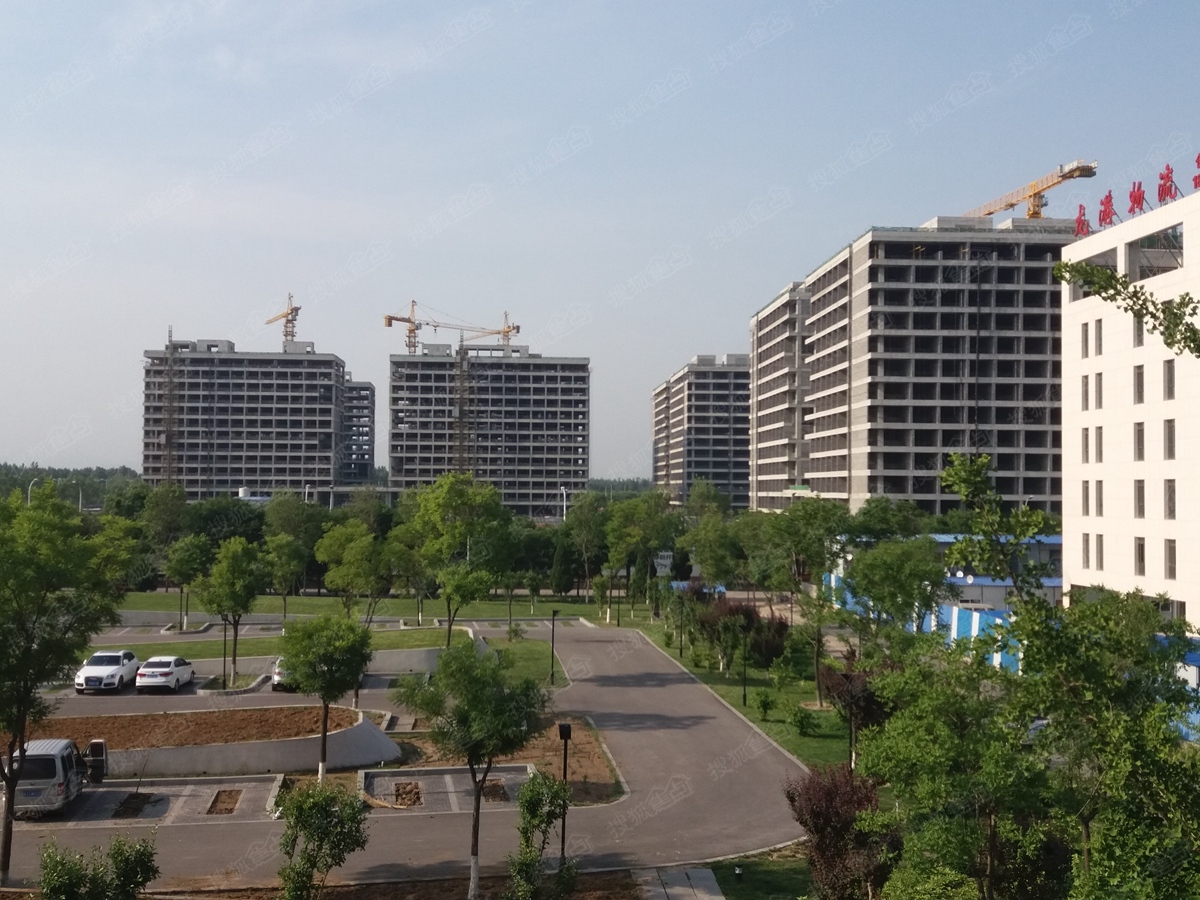 平谷御马坊，马背上的欢笑与温情最新消息及故事揭秘