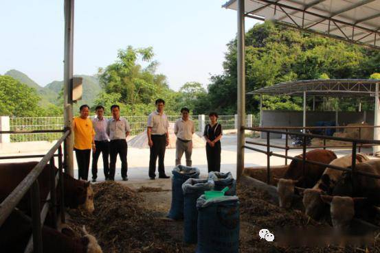 忻城县安东乡最新新闻报道汇总