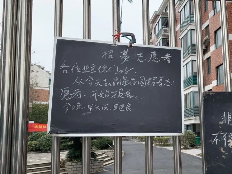 2024新奥门正牌资料大全,实地应用实践解读_VVR38.672结合版