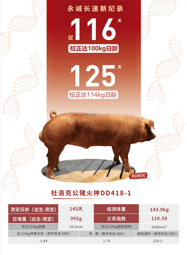 香港二四六最快开奖,最新数据挖解释明_YDM38.974轻量版