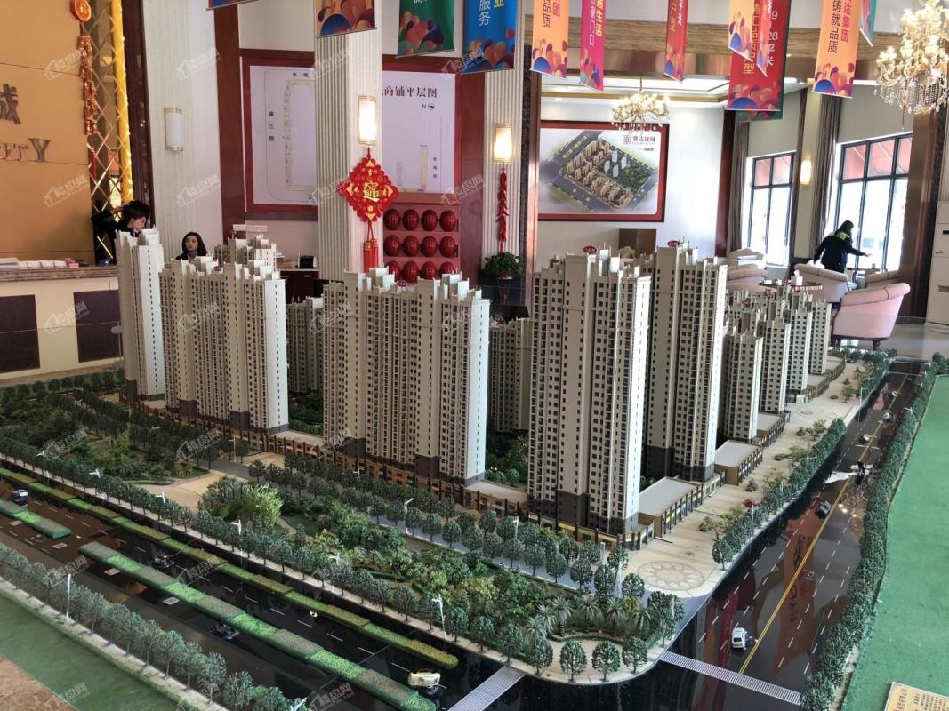 赛达康城最新动态揭秘,科技引领未来智能生活