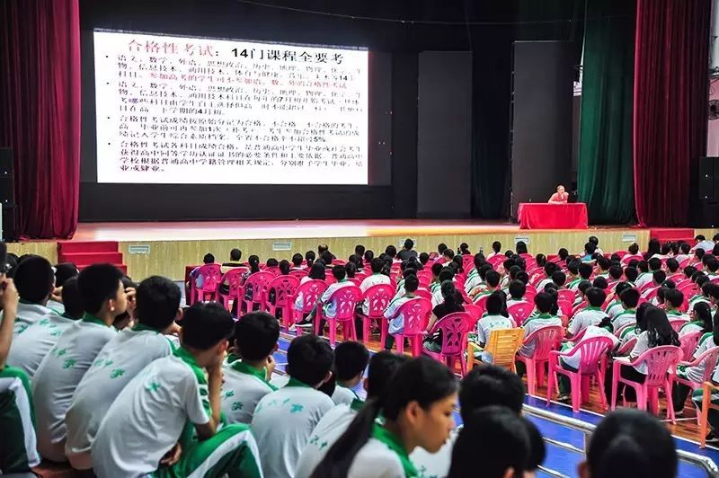 2024正版资料大全开码,实用性解读策略_OYP38.150动态版