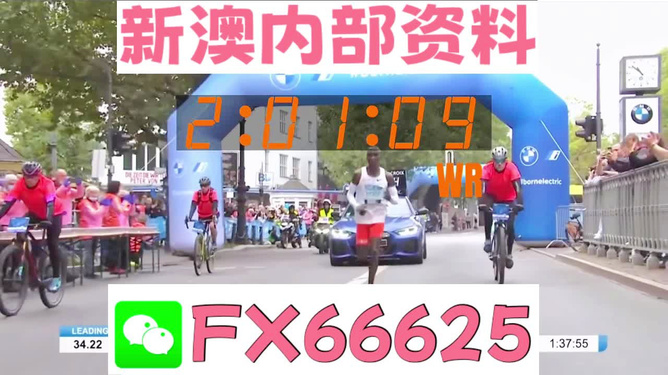 新澳2024年精准资料,实地应用实践解读_YWC38.118神念境