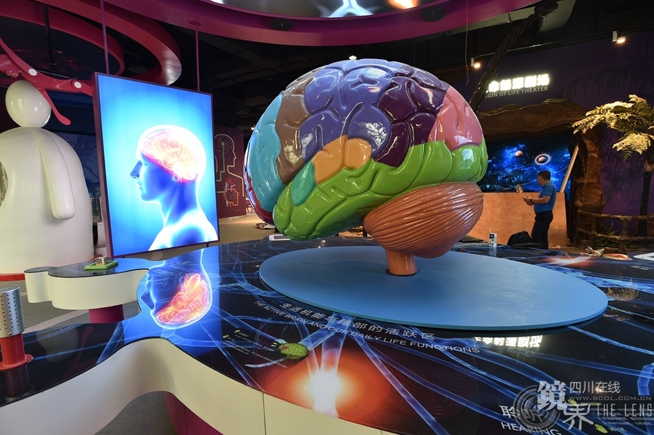 成都科技馆,科技与文化的融合盛事最新消息