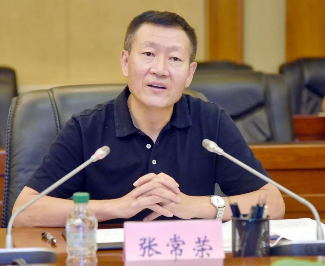 鸡西市政府最新动态更新,政策进展与行动报告