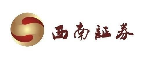 西南证券新干线最新版深度解析与观点阐述