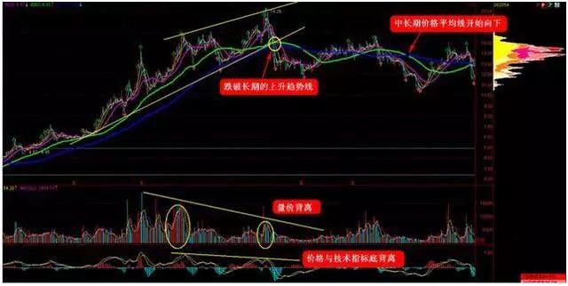 金牛网澳门金牛网,创新策略执行_OIX38.469主力版