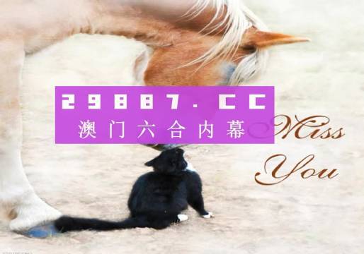 新澳门彩4949历史记录,全面信息解释定义_LRU38.740见证版