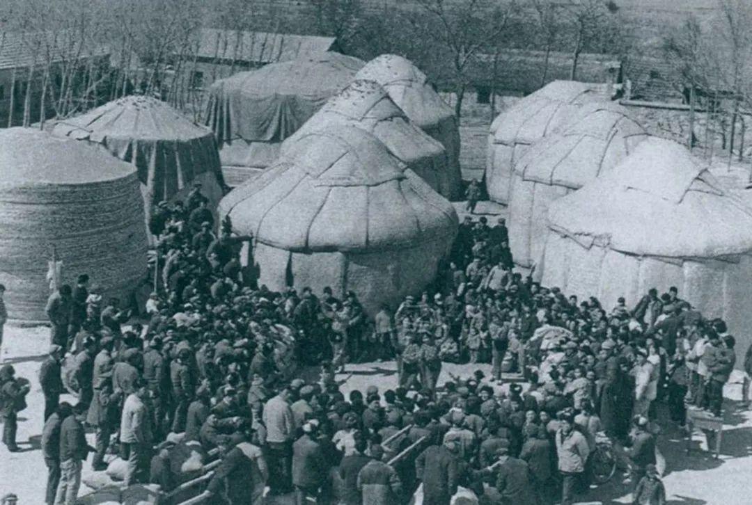 佛山限外地车最新政策更新消息