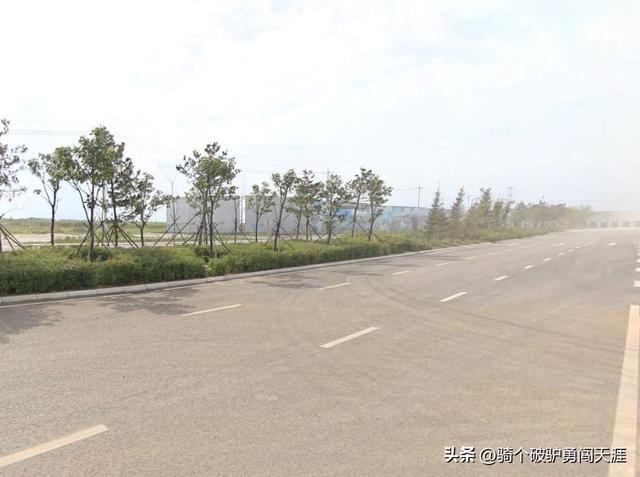 四川双马最新消息传闻速递