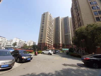 无为五洲雅苑最新动态揭秘，全方位了解与参与指南