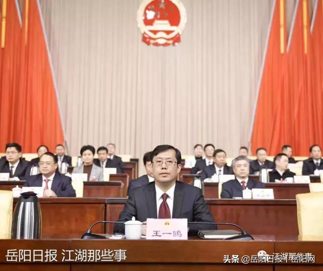 岳阳康代四最新动态，励志之光照亮前行之路