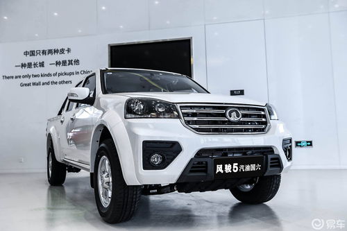 长城风骏9最新款车型图片及解析