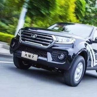 长城风骏9最新款车型图片及解析