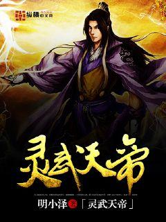 灵武大帝辰天,高科技巅峰之作,体验未来之力最新章节