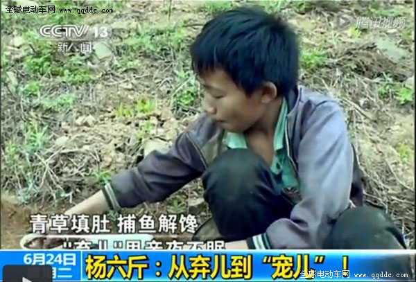 杨六斤最新动态揭秘，小巷深处的独特风味，展望杨六斤在2024年的新动向