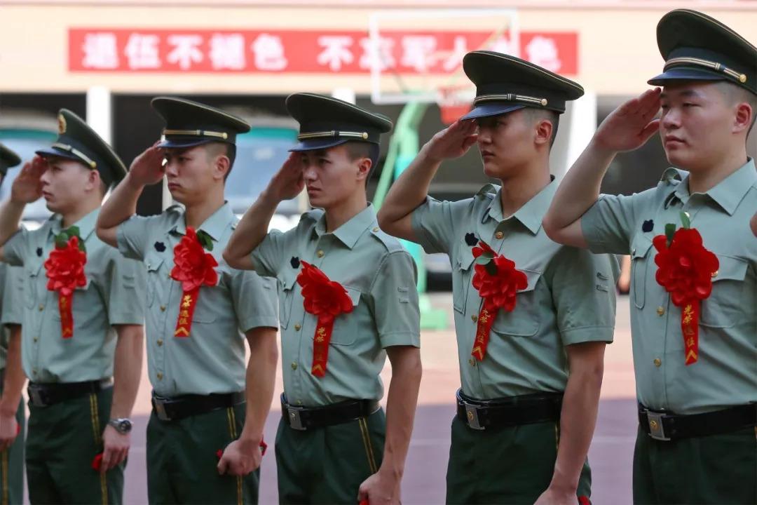 定向直招士官最新政策解析与概述